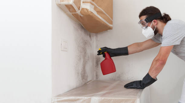 Professional Crawl Space Mold Remediation technician working in Lake Leelanau, MI